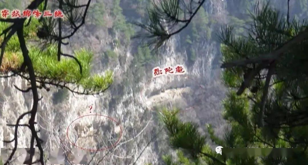 今年成都蓉城引援绯闻特别多 但是可以实锤也就三 、四个