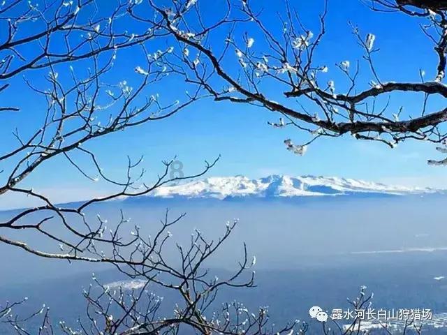 石油骚动
