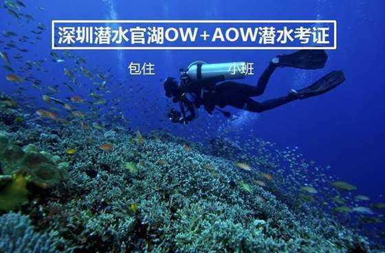 工作20年大厨:做鲫鱼汤时,千万别用错“水”,否则腥味重还难喝